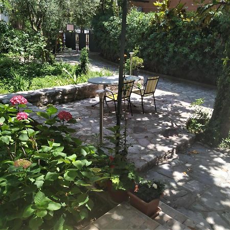 Apartmani Abeona Budva Exterior photo