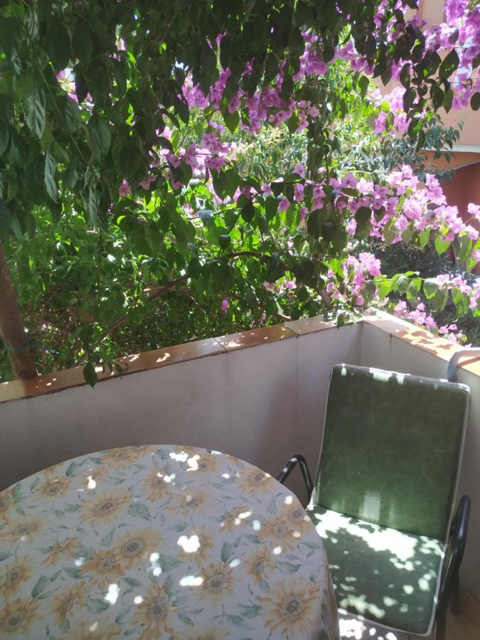 Apartmani Abeona Budva Exterior photo
