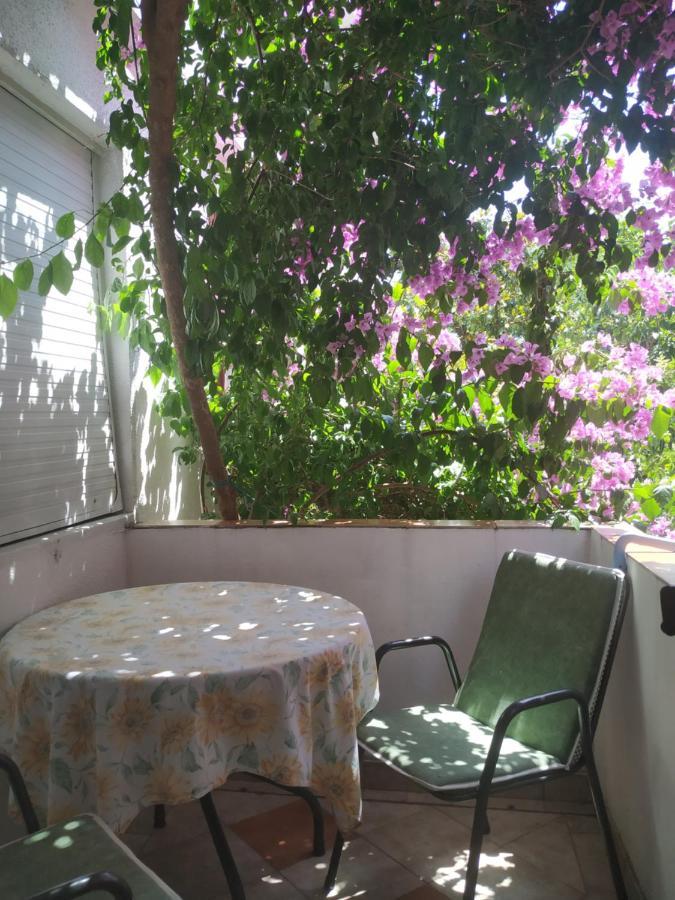 Apartmani Abeona Budva Exterior photo